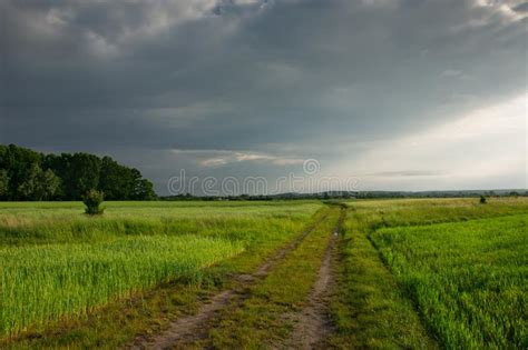 Dirt Road Through Green Fields Storm Clouds And Sunlight Stock Photo