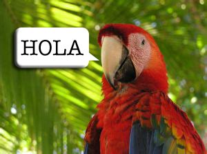 Glossika is one of the best tools on. Speak Like a Parrot - Dad for Beginners