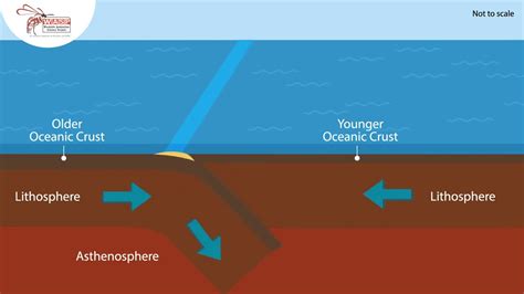 When An Oceanic Crust Converges With Another Oceanic Crust A Top Answer Update