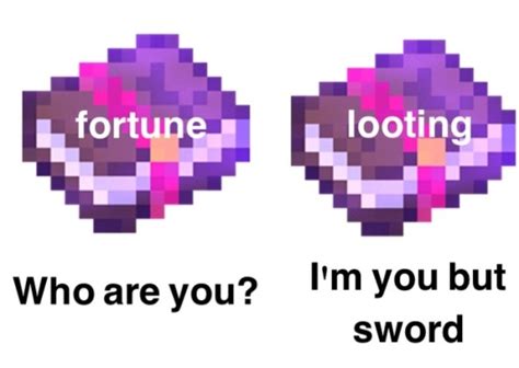 Don't waste your diamonds on a hoe. minecraft meme on Tumblr
