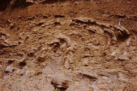 Romania Rocks Geology On 35mm Film 2 Soft Sediment Deformation