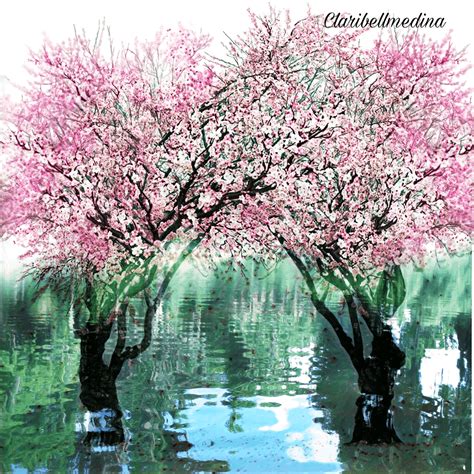 Cherry Blossom Background  Eyes Preface Sky Anime Anime