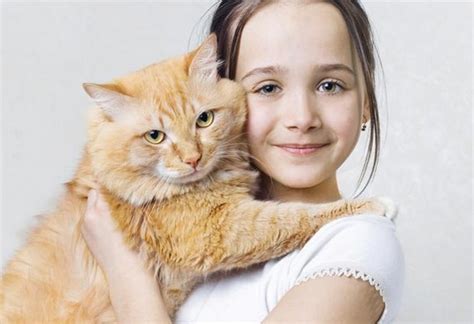 An Adorable Gallery Of Cats And Kids Hugging