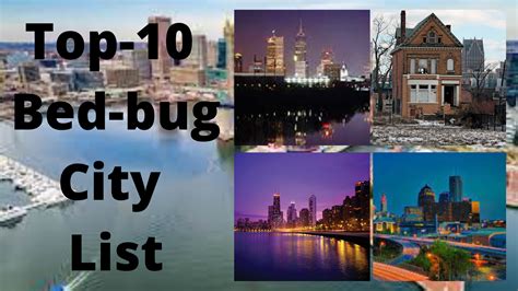 Top 10 Bed Bug Infected Cities Of The World