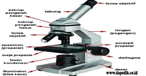 Kenali Bagian Bagian Pada Mikroskop Dan Fungsinya Gambaran