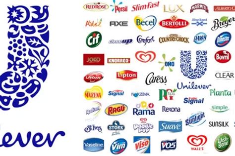 Yuk Simak Inilah Daftar Produk Unilever Yang Paling Populer Di