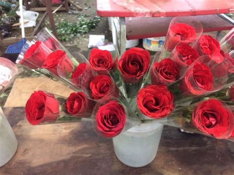 Harga Bunga Mawar Setangkai Di Bandung Terbaru