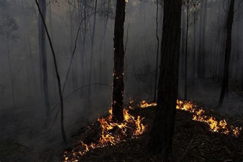 Australia Bush Fires Contribute To Big Rise In Global Co2 Levels Uks