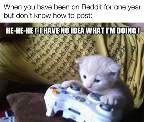 Sad Gaming Cat Cat On Xbox Know Your Meme