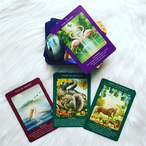 Animal tarots were most commonly found in northern europe, from belgium to russia, until the decline of tarot card games. Bộ Bài Animal Tarot Cards của Doreen Virtue | Mystic House Tarot Shop