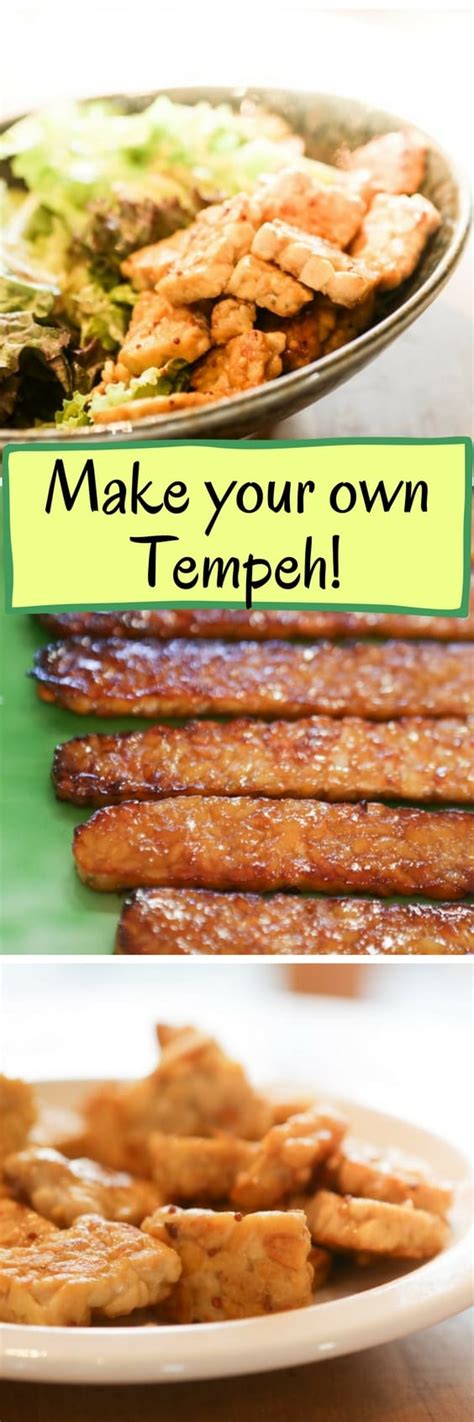 How To Make Your Own Tempeh Recipe Fermentation Recipes