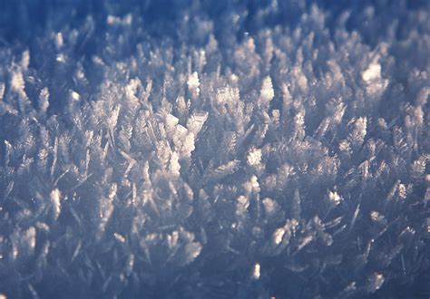 Snow Crystals