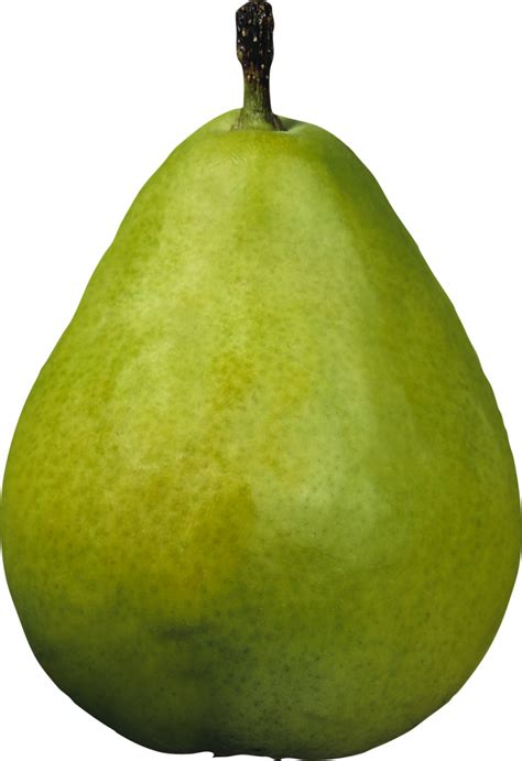 Pear Png Image Purepng Free Transparent Cc0 Png Image Library