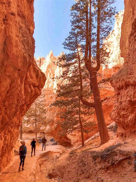 The Most Epic Things To Do In Southern Utah Ready Set Pto