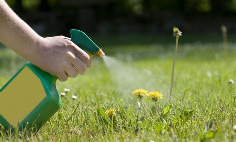 Whether you have a house or an office building, a garden or a garage, weed and pest control supplies are often required. Pests | Pestology