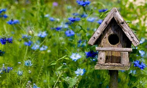 Here's a plan for a nesting box that will keep your backyard birds cozy all winter. Create a Beautiful Nature Oasis of Tranquility in Your Garden