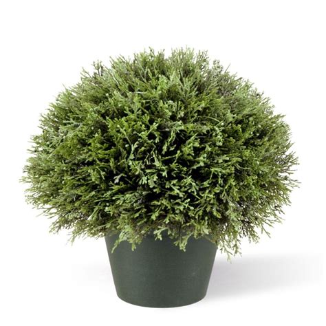 Find the perfect topiary bush stock photos and editorial news pictures from getty images. National Tree Company 15 in. Juniper Bush in Dark Green ...