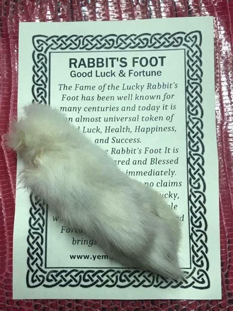 Genuine Lucky Rabbit Foot Etsy Suerte Buena Suerte Fortuna