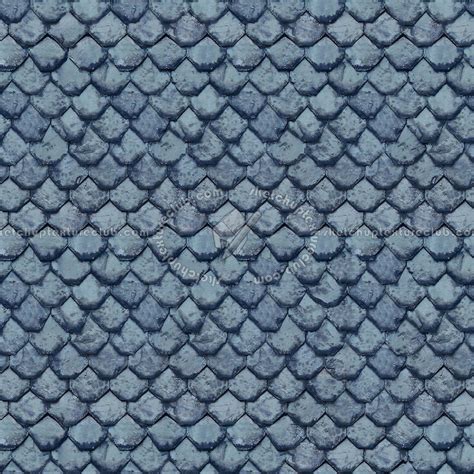 Slate Roofing Texture Seamless 03947