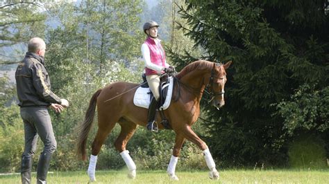 Der tüv ist ein privater verein wie ein kegelclub auch. CAVALLO Rechts-Service: Wann kann ich vom Kaufvertrag ...
