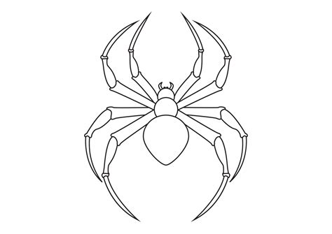 Black And White Spider Clipart Arachnia Illustration Of Black Spider