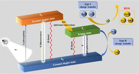 Adapted Jablonski Diagram Showing The Photochemical And Photophysical Download Scientific