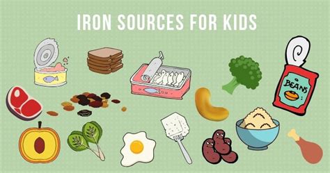 Iron Rich Foods For Kids Healthy Little Foodies