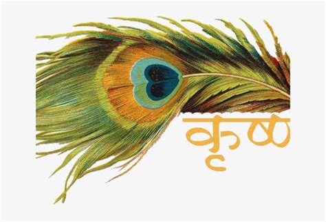 Peacock Feather Krishna Logo