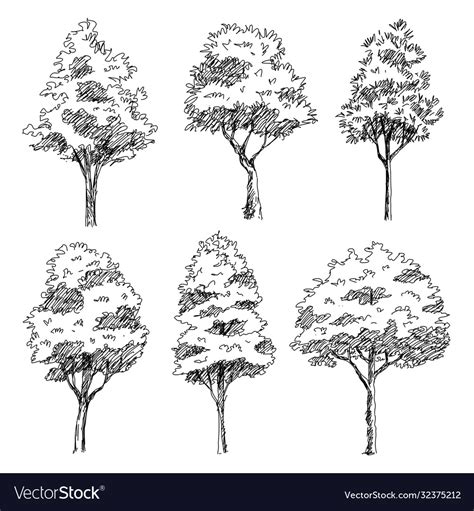 Trees Sketch Architectural Hand Drawn Royalty Free Vector