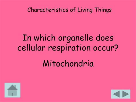 The mitochondria is the powerhouse of the cell, which creates all of the energy (which makes sense why cellular respiration mainly occurs. PPT - Living Environment Must Know Facts Jeopardy Game ...