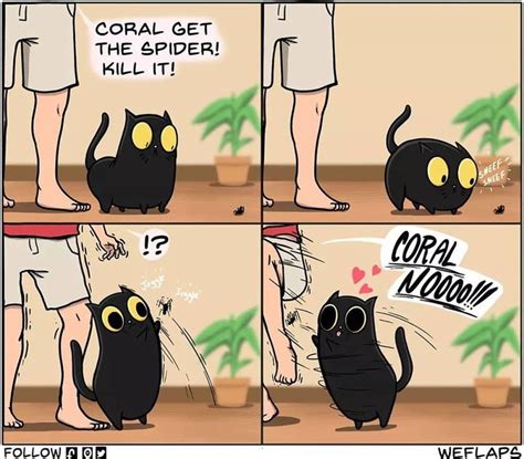 cat comics cat comics funny comics funny