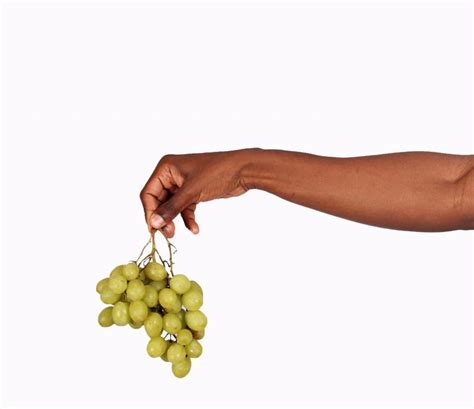 Hand Holding Green Grapes High Quality Free Stock Images