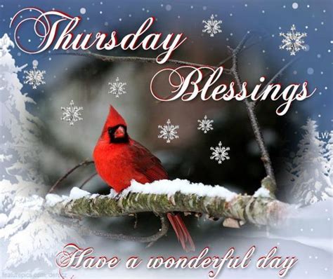 Winter Cardinal With Snowflakes Thursday Blessings Pictures Photos