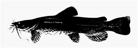 Gambar ikan vektor terlihat keren download now ikan vektor png vecto. Ikan Lele Vector Png , Free Transparent Clipart - ClipartKey