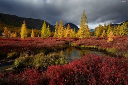 Kolyma Autumn Mountains River Trees Magadan Russia