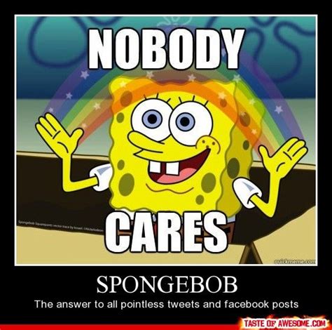 Funny Spongebob Pictures With Captions Hd Fun Wallpapers Spongebob