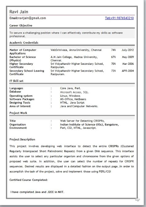 Digital marketing resume templates for freshers. MCA Fresher Resume Format