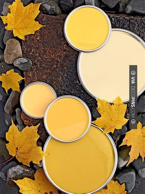 Gold Paint Colors A Guide To Choosing The Perfect Shade Paint Colors