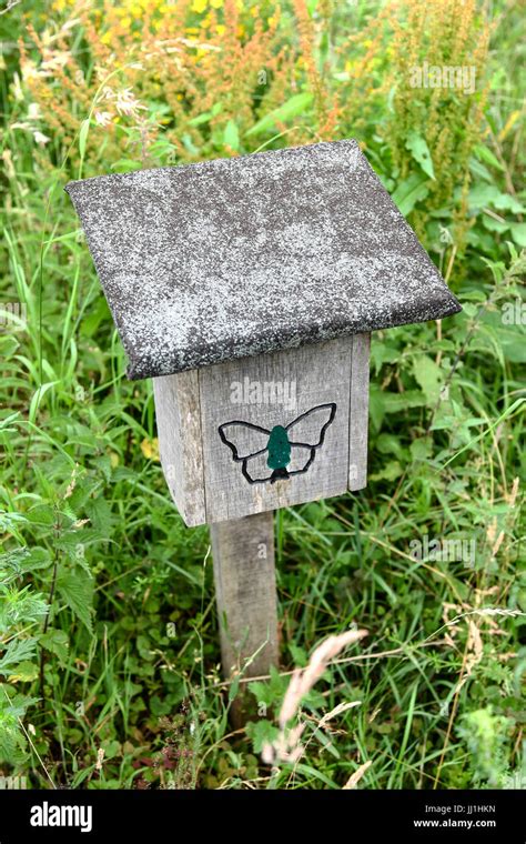 A Leaflet Box Provide By Butterfly Conservation On Prees Heath Common