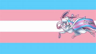 Laptop Pride Flag Trans Transgender Wallpapers Sylveon