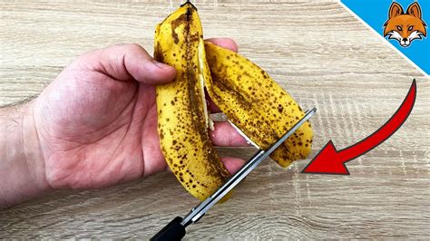 You Will Never Ever Throw Away Banana Peels After Watching This 💥 Youtube