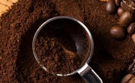 Cara membuat scrub kopi untuk kulit cerah berkilau. Racikan Scrub Kopi Cara Alami Basmi Stretch Mark