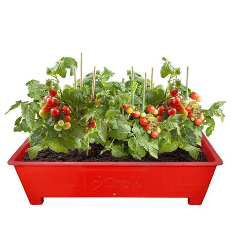 Amazon's choice for tomato planter. Terrace Garden FRP Planter Box - Red (3 Ft X 2 Ft ...