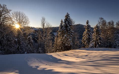 Nature Mountain Range Fog Sunrise Landscape Tree