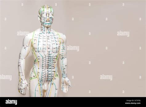 Acupuncture Nerve Pain Relief