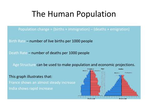 Ppt Population Dynamics Powerpoint Presentation Id1862285