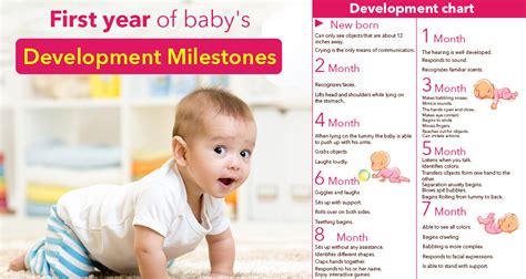 These months include some exciting milestones, as babies can now use their hands for support and begin to pull themselves into a standing when exploring new foods with your baby, try foods that offer new tastes and textures. 1 Year Baby Monthly Development Chart or Milestone