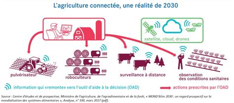 Agriculture Du Futur Quelles Innovations Pour Demain