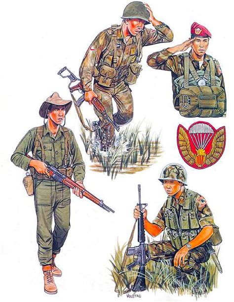Vietnam Airborne A Tribute To The Brave Soldiers