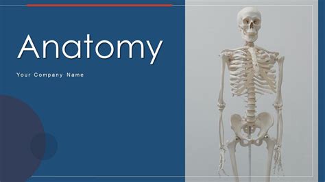 Powerpoint Anatomy Theme